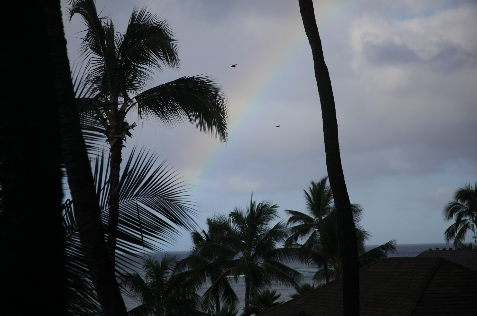 img_1282_hawaii